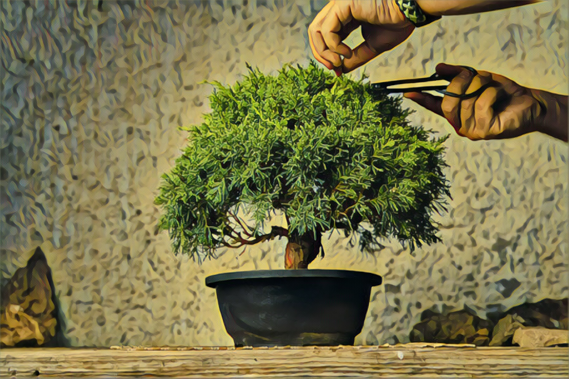 DBT GROUP NOTES: PARTICIPATE AND THE ART OF TAKING ACTION