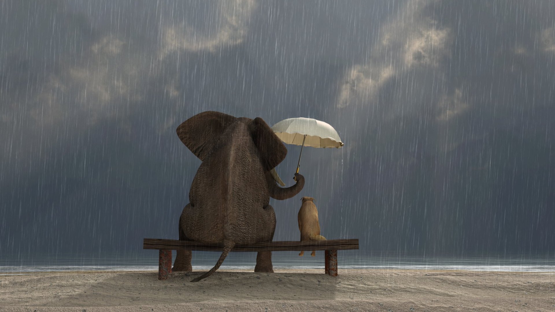 DBT Group notes: loving kindness and non-attachment